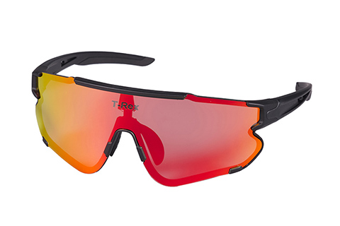 2_0007_1_0001_Sports Eyewear.jpg